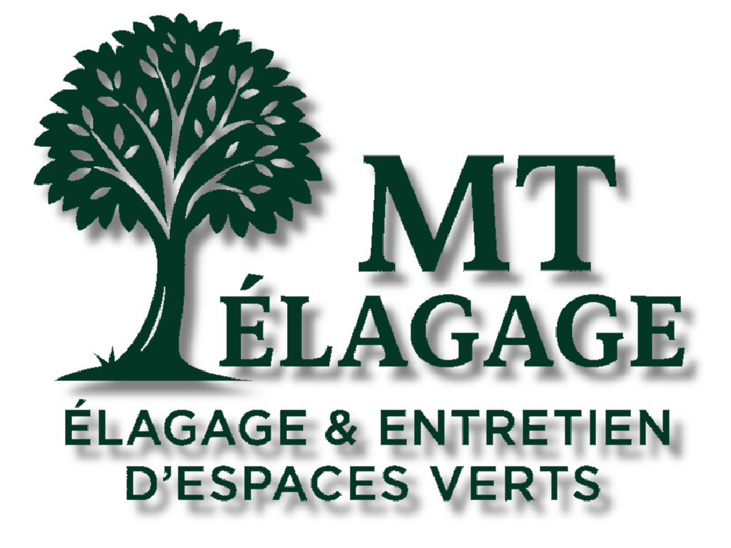 [Paysagiste | Elagage | Abattage | Débrousaillage | Tonte]