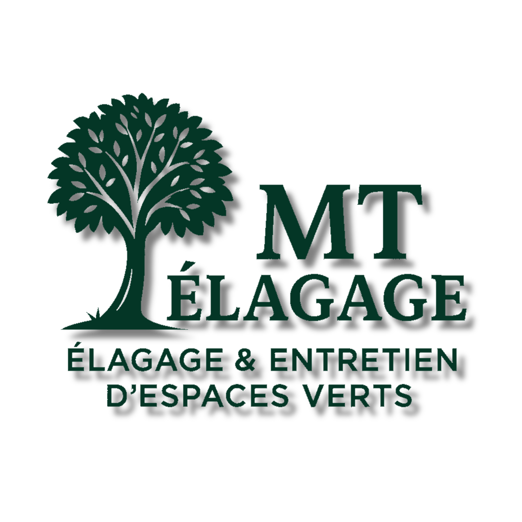 MT ELAGAGE