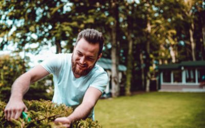 Quels outils professionnels sont utilisés pour une Taille de haies Bretenoux précise et régulière ?