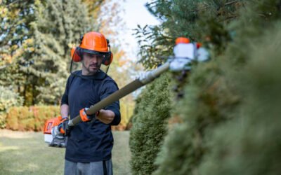 Quel est le prix moyen d’un Élagage Bretenoux selon la hauteur de l’arbre ?
