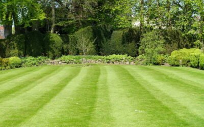 La Tonte de pelouse Bretenoux est-elle adaptée aux terrains en pente ou difficiles d’accès ?