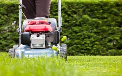 Pourquoi faire appel à un professionnel pour une Tonte de pelouse Bretenoux plutôt que de la faire soi-même ?