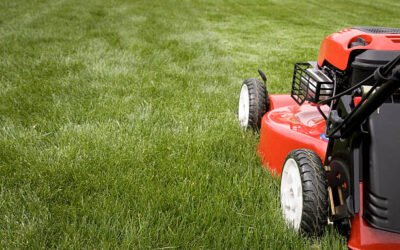 À quelle fréquence prévoir une Tonte de pelouse Bretenoux pour garder un jardin propre toute l’année ?