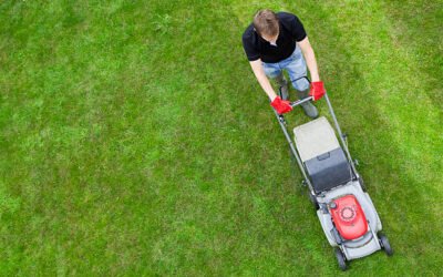 Quel est le prix moyen d’une Tonte de pelouse Bretenoux pour un terrain standard ?