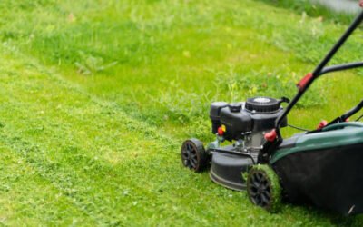 La Tonte de pelouse Bretenoux peut-elle être combinée avec d’autres services de jardinage ?