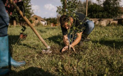 Un Paysagiste Bretenoux peut-il s’occuper de l’entretien après la création du jardin ?