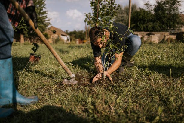 Un Paysagiste Bretenoux peut-il s’occuper de l’entretien après la création du jardin ?