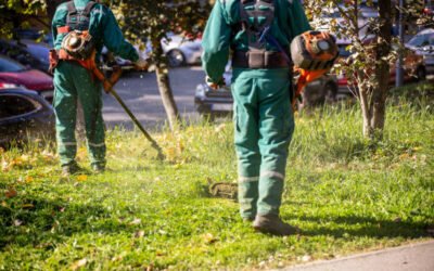Pourquoi faire appel à un Paysagiste Bretenoux pour aménager un jardin plutôt que de le faire soi-même ?
