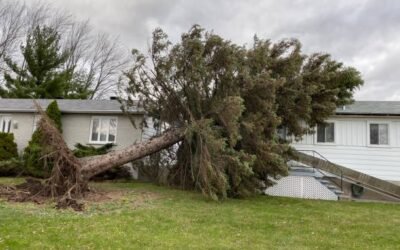 Dans quels cas un abattage abre à bretenoux est-il nécessaire pour des raisons de sécurité ?