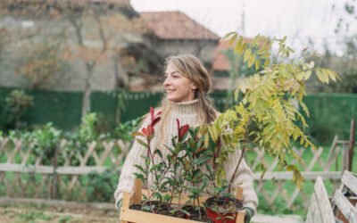 Paysagiste Bretenoux : Quel est le prix moyen d’une prestation proposée par un Paysagiste?