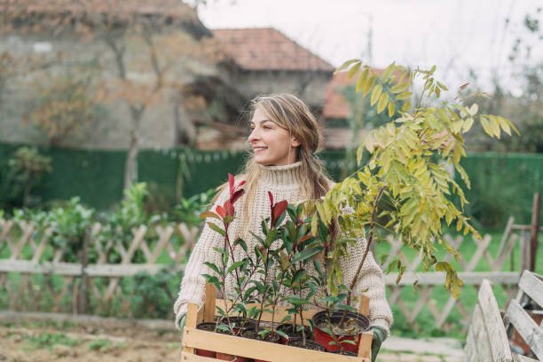 Paysagiste Bretenoux