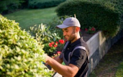 Paysagiste Bretenoux : Comment se déroule un premier rendez-vous avec un Paysagiste?