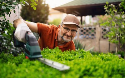 Élagage Bretenoux : Quelle est la différence entre un simple entretien et un Élagage plus technique ?