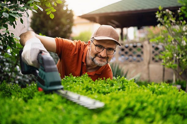 Élagage Bretenoux : Quelle est la différence entre un simple entretien et un Élagage plus technique ?