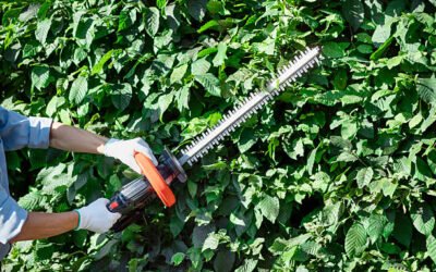 Comment comparer plusieurs devis pour une Taille de haies Bretenoux ?