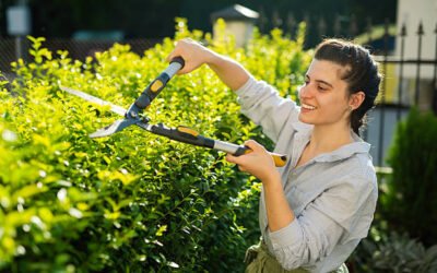 Quelles erreurs éviter lors d’un Élagage arbre Bretenoux mal réalisé ?