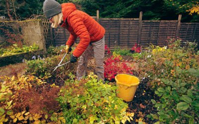 Paysagiste Bretenoux: Quelles autorisations sont nécessaires avant des travaux réalisés par un Paysagiste ?