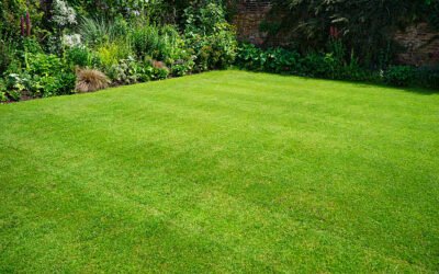 Comment se déroule une Tonte de pelouse Bretenoux sur un grand terrain ?