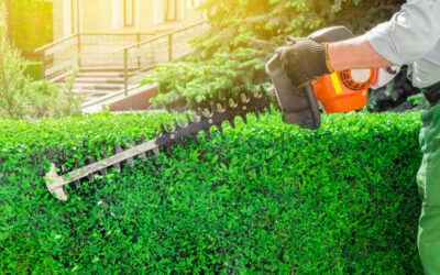 Comment se déroule une Taille de haies Bretenoux sur des haies très hautes ?